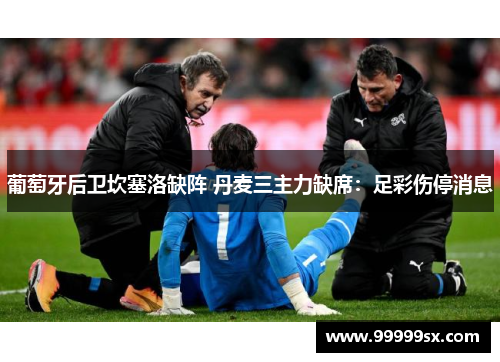 葡萄牙后卫坎塞洛缺阵 丹麦三主力缺席：足彩伤停消息